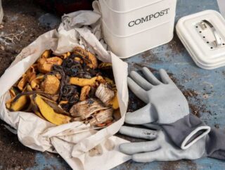 Możliwość zastąpienia kompostu torfem w naturalnych nawozach